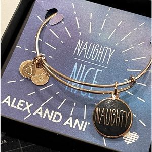 Alex And Ani Naughty And Nice Charm Bracelet